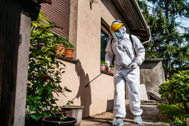Best Local Pest Control Services  in Johnstown, PA