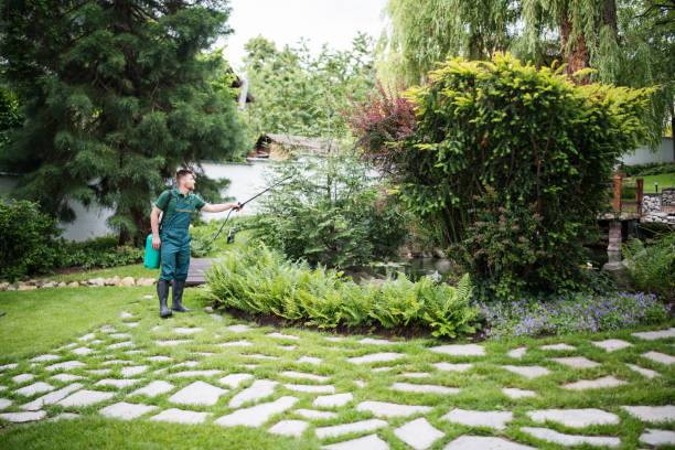 Best Insect Control  in Johnstown, PA