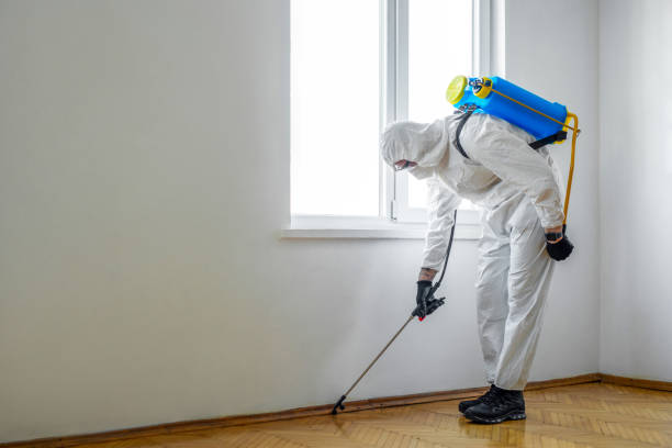 Best Local Pest Control Services  in Johnstown, PA
