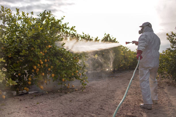 Best Affordable Pest Control Services  in Johnstown, PA