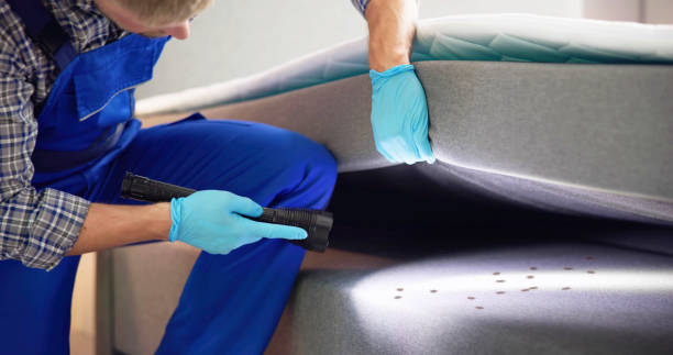 Best Wasp Removal Services  in Johnstown, PA