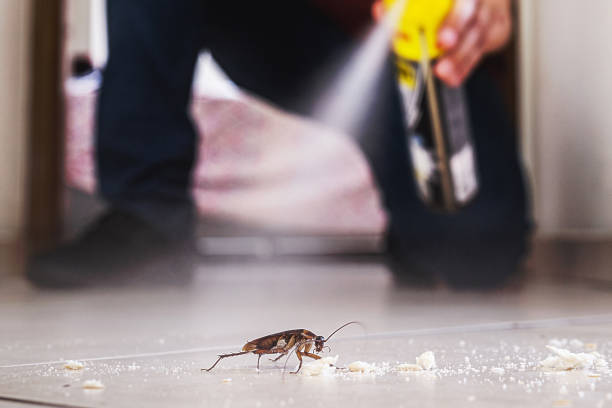 Best Commercial Pest Control Services  in Johnstown, PA