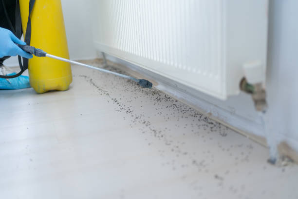 Best Pest Control Near Me in Johnstown, PA