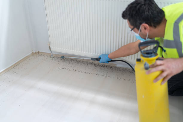 Best Mosquito Control Services  in Johnstown, PA