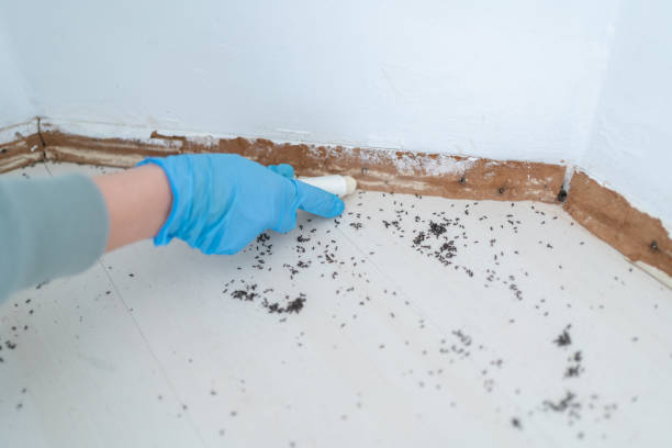 Pest Prevention Services in Johnstown, PA
